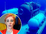 Underwater survival expert says materials used in Titan sub had ‘been tried and simply didn’t work’
