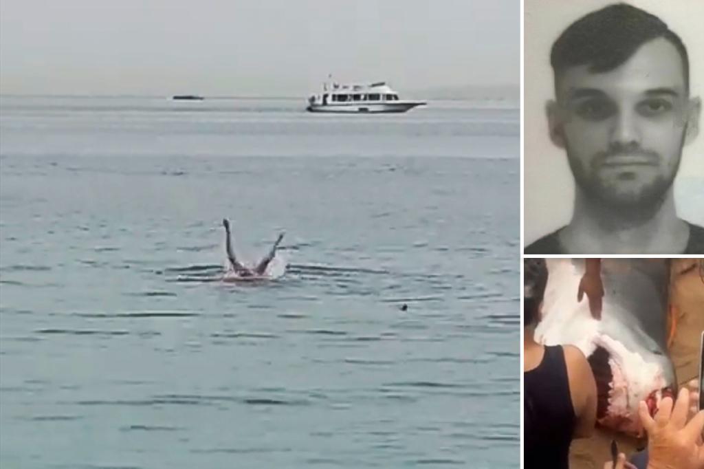 WATCH: Egypt Shark Attack Full Video 2023