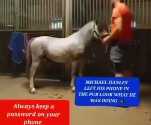 horse video on twitter, (michael hanley horse video explained)